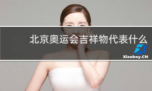 北京奥运会吉祥物代表什么