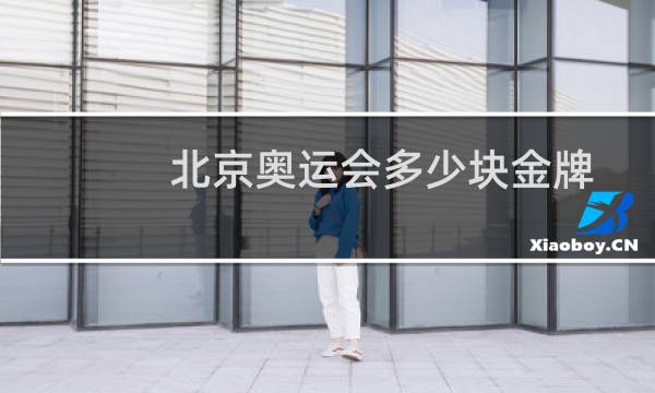 北京奥运会多少块金牌