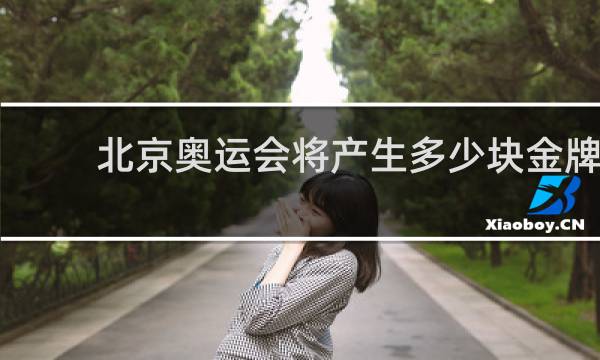 北京奥运会将产生多少块金牌