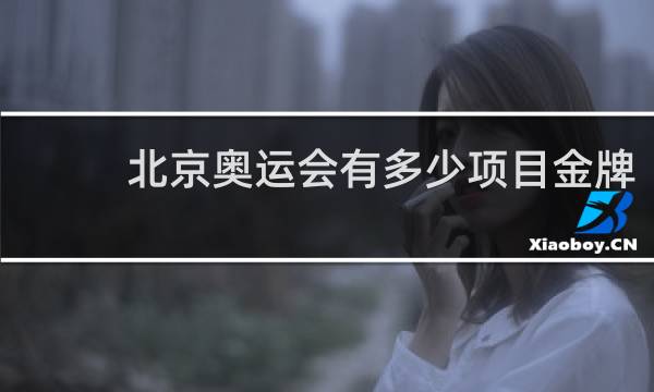 北京奥运会有多少项目金牌