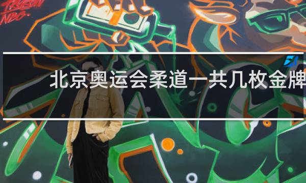 北京奥运会柔道一共几枚金牌