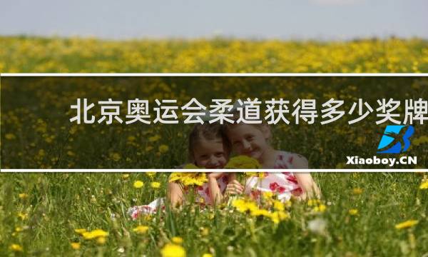 北京奥运会柔道获得多少奖牌