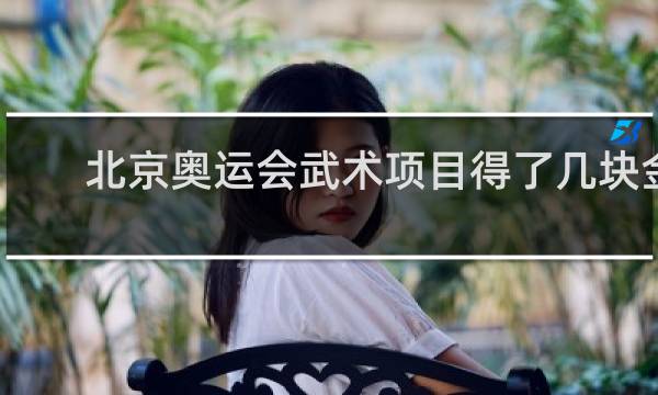 北京奥运会武术项目得了几块金牌