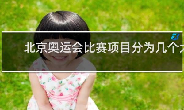北京奥运会比赛项目分为几个大项