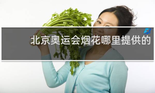 北京奥运会烟花哪里提供的