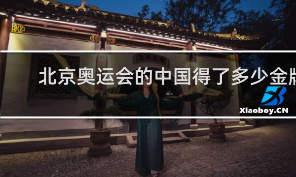 北京奥运会的中国得了多少金牌