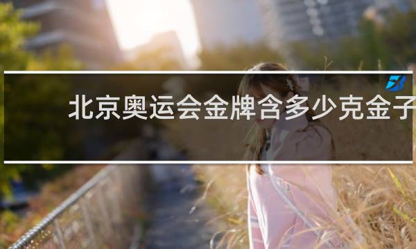 北京奥运会金牌含多少克金子