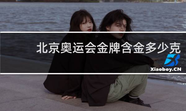 北京奥运会金牌含金多少克