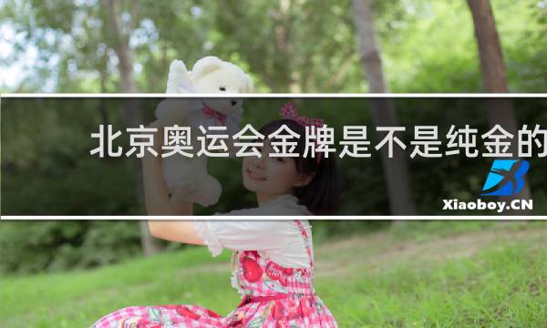 北京奥运会金牌是不是纯金的