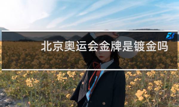 北京奥运会金牌是镀金吗