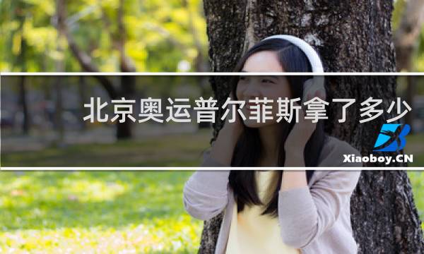 北京奥运普尔菲斯拿了多少