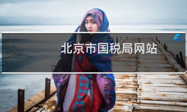 北京市国税局网站