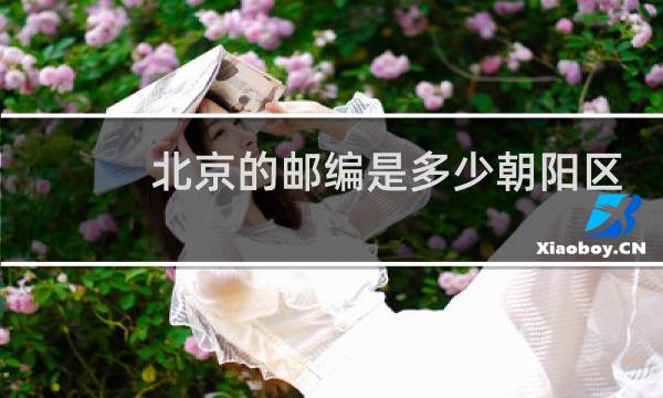 北京的邮编是多少朝阳区