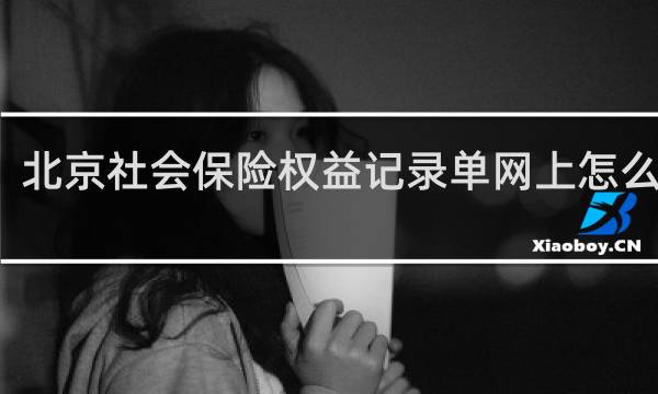 北京社会保险权益记录单网上怎么打印