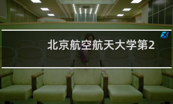 北京航空航天大学第204组(中外合作办学或国际项目)有哪些专业 招生多少人