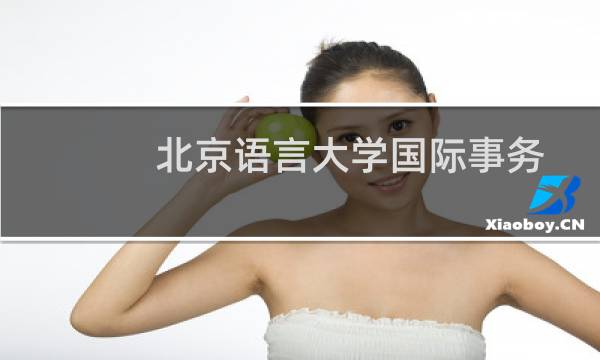 北京语言大学国际事务与国际关系专业录取分数线（含2022-2024分数线）