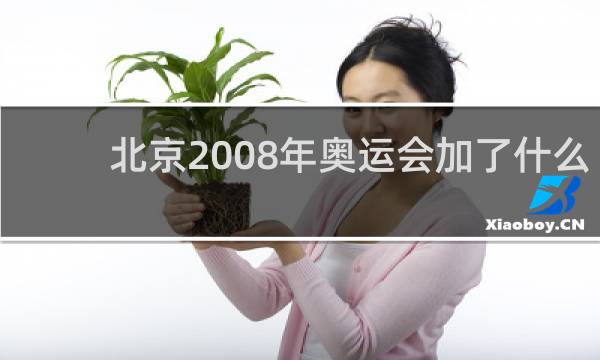 北京2008年奥运会加了什么项目
