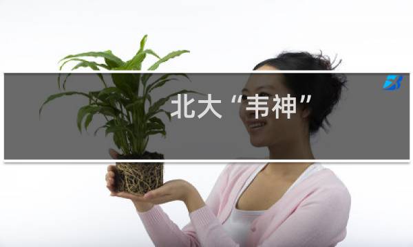 北大“韦神”/北大“扫地僧”什么梗