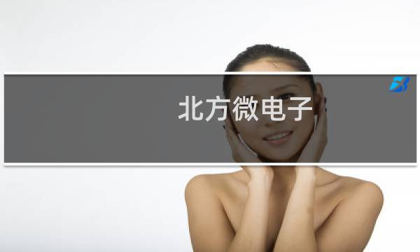 北方微电子