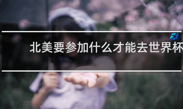 北美要参加什么才能去世界杯