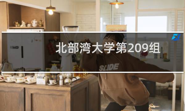 北部湾大学第209组(中外合作办学或国际项目)有哪些专业 录取多少分人