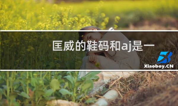 匡威的鞋码和aj是一样的吗(匡威的鞋码偏大吗)