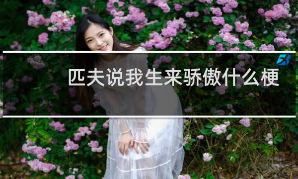 匹夫说我生来骄傲什么梗？匹夫说我生来骄傲是什么意思什么梗