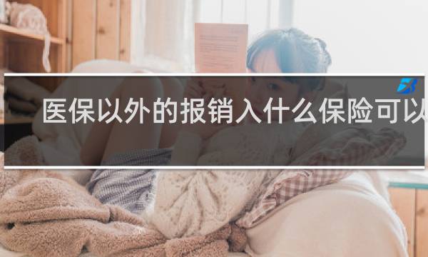 医保以外的报销入什么保险可以报图片