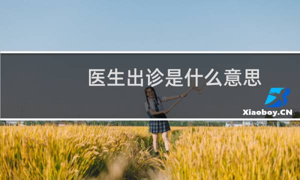 医生出诊是什么意思