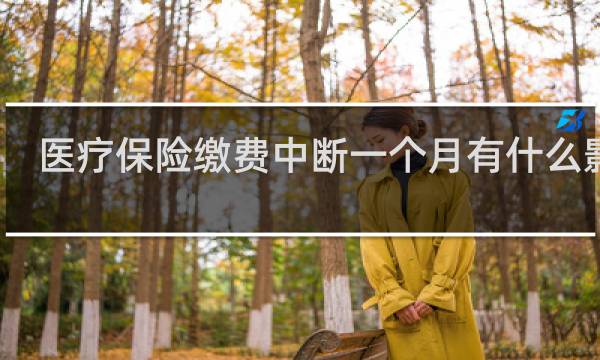 医疗保险缴费中断一个月有什么影响