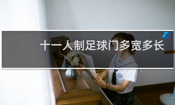 十一人制足球门多宽多长