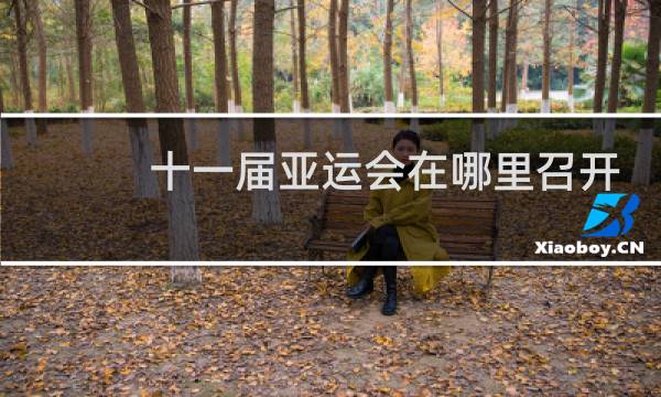 十一届亚运会在哪里召开