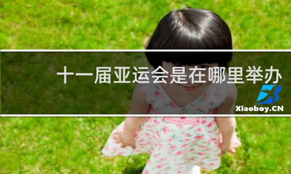 十一届亚运会是在哪里举办