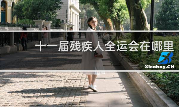 十一届残疾人全运会在哪里