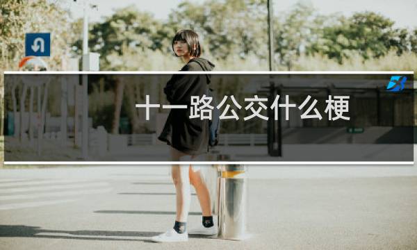 十一路公交什么梗
