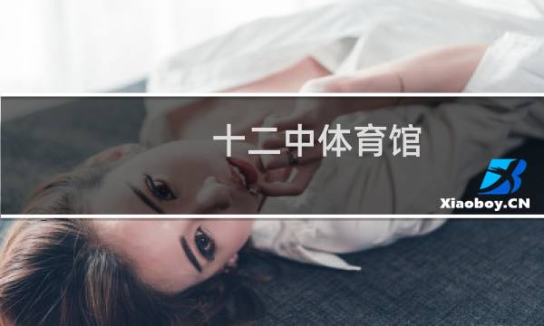 十二中体育馆(篮球羽毛球)怎么样