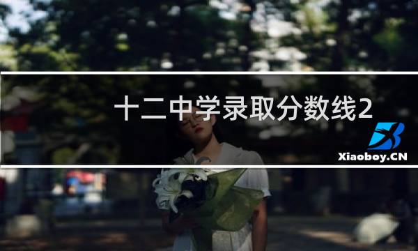 十二中学录取分数线2021小升初（十二中学录取分数线）图片