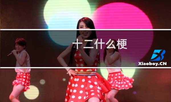 十二什么梗