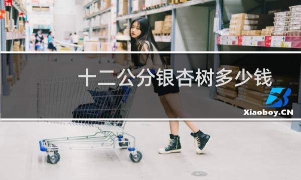 十二公分银杏树多少钱