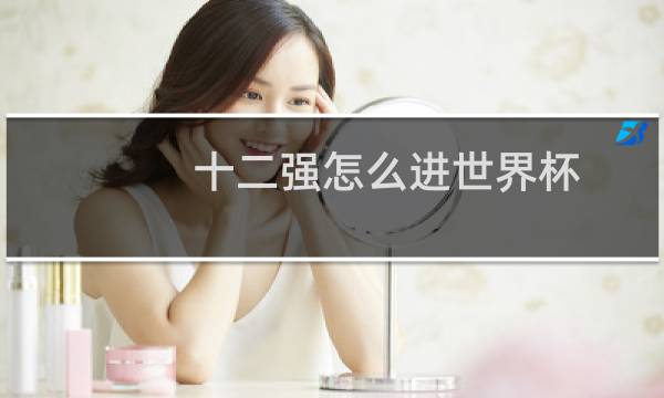 十二强怎么进世界杯