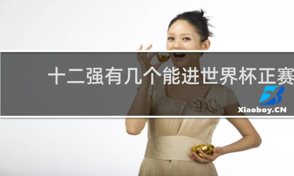 十二强有几个能进世界杯正赛