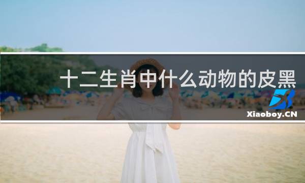 十二生肖中什么动物的皮黑