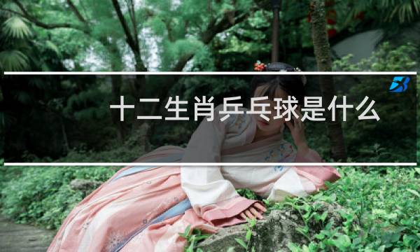 十二生肖乒乓球是什么