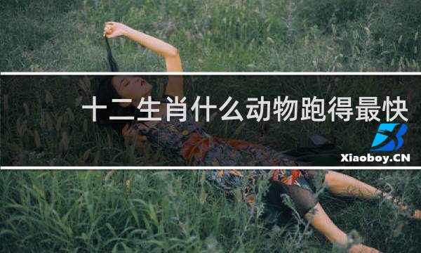 十二生肖什么动物跑得最快