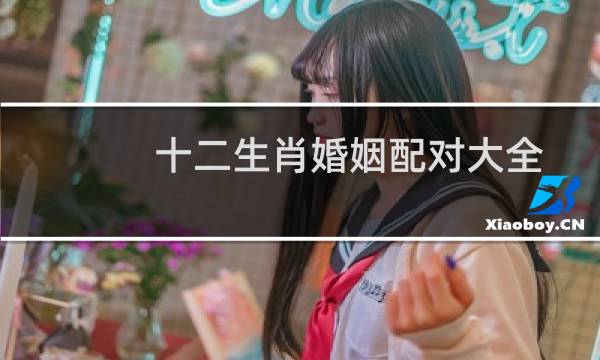 十二生肖婚姻配对大全狗能配鼠吗（十二生肖婚姻配对大全）