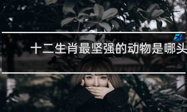 十二生肖最坚强的动物是哪头