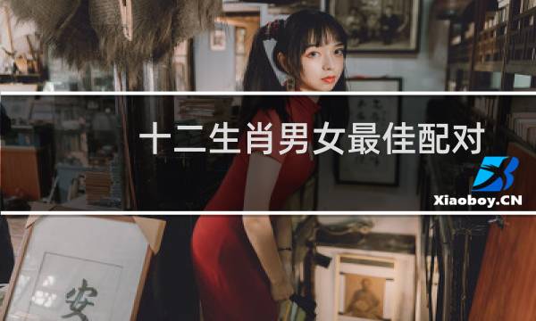 十二生肖男女最佳配对表虎（十二生肖男女最佳配对）图片