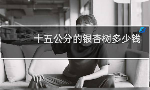 十五公分的银杏树多少钱