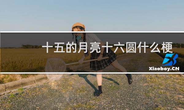 十五的月亮十六圆什么梗