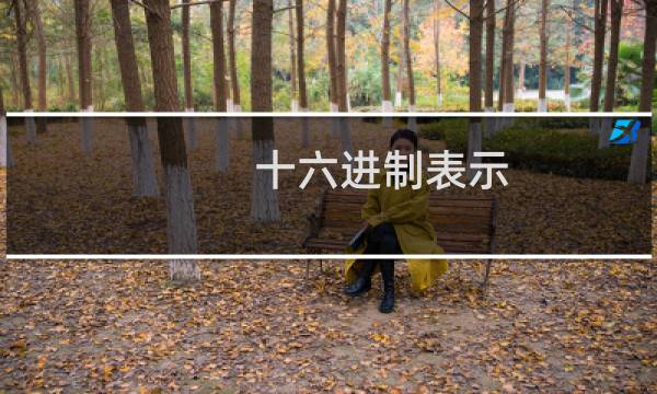 十六进制表示图片